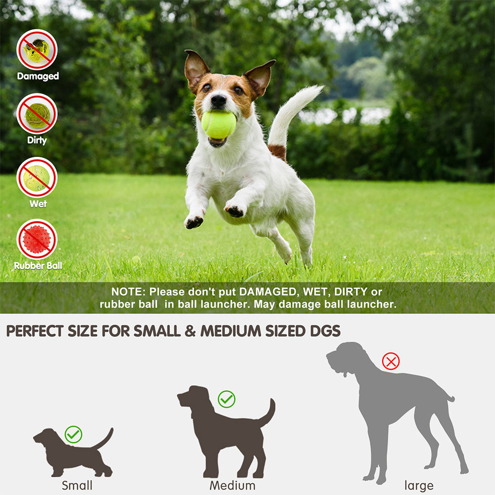 Lanzador Automático de Pelotas para Perros | Kioto.pet