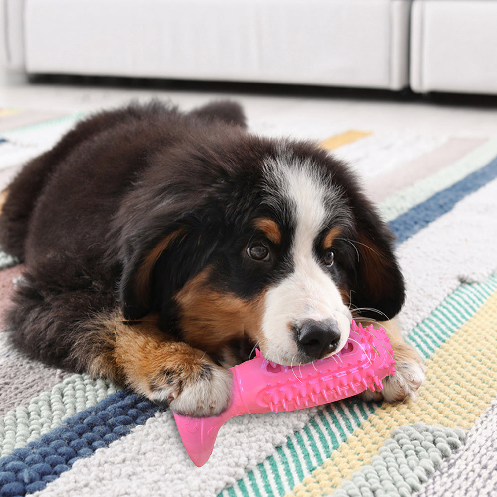 CleanPlay Brush™ | Juguete Interactivo y Cepillo Dental para Perros Kioto.pet