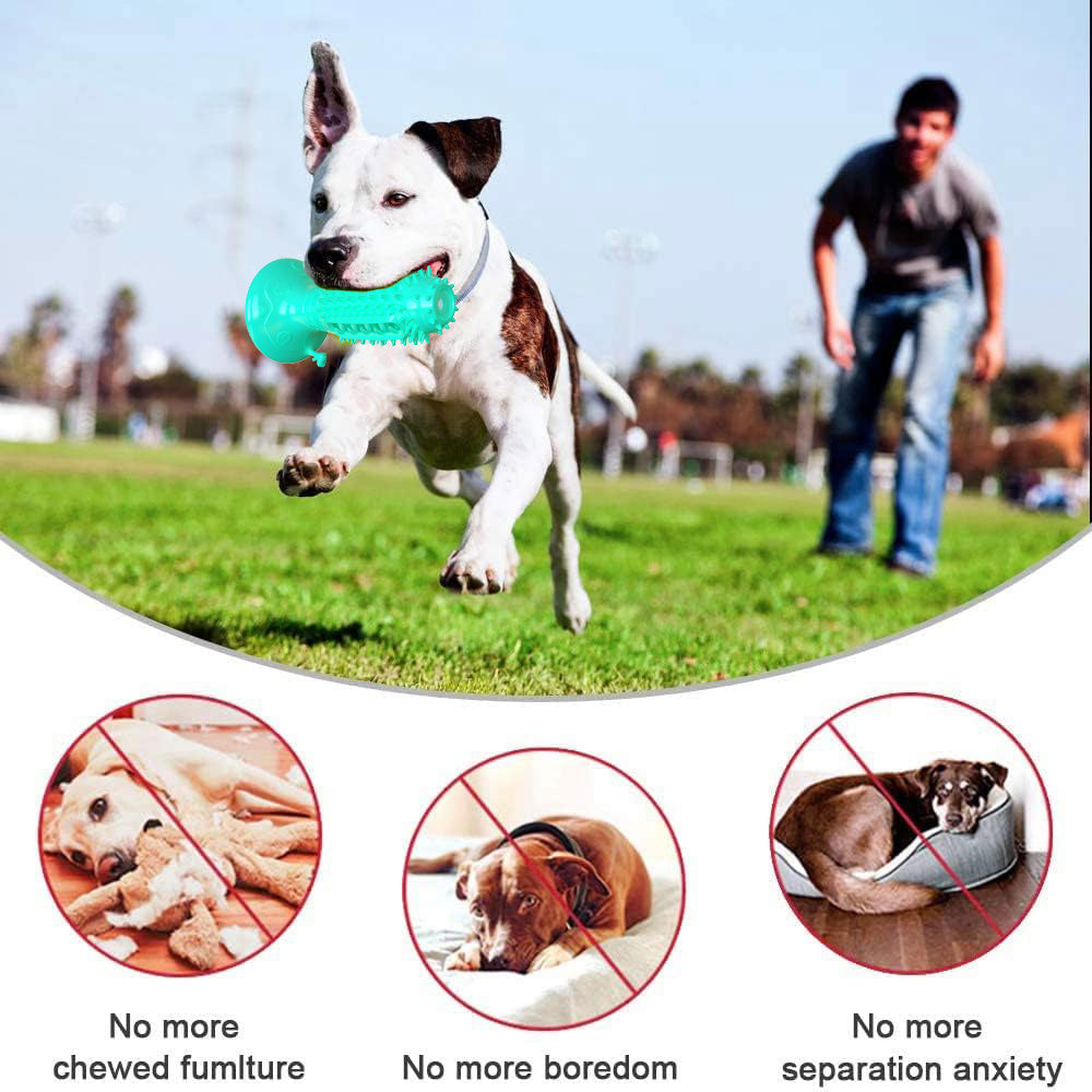 CleanPlay Brush™ | Juguete Interactivo y Cepillo Dental para Perros Kioto.pet