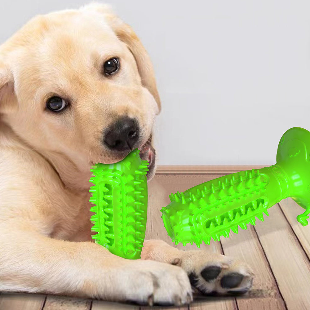 CleanPlay Brush™ | Juguete Interactivo y Cepillo Dental para Perros Kioto.pet