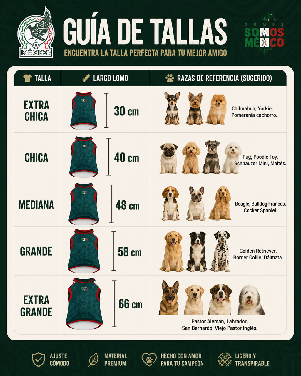 Combo Aficionado Mundialista 🇲🇽 | Jersey para perro + Chicharrón de Chile
