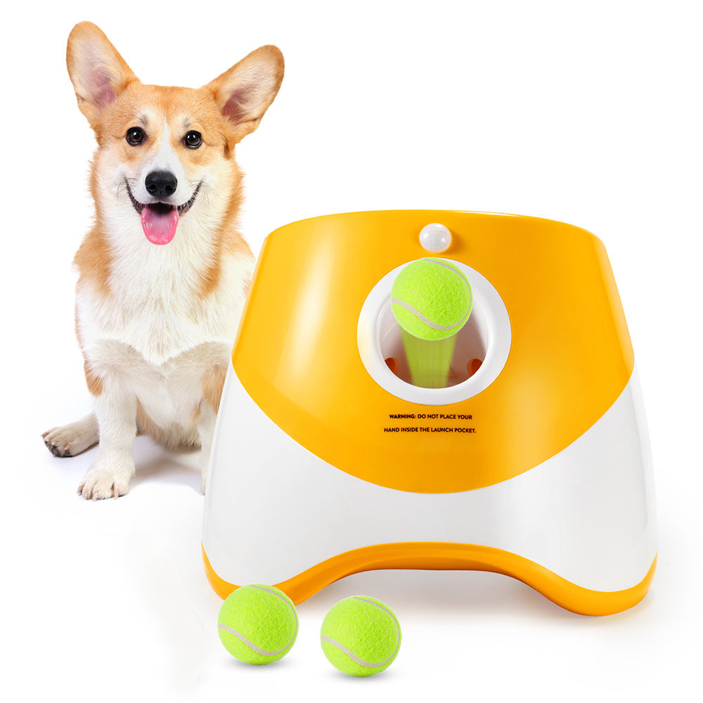 Lanzador Automático de Pelotas para Perros | Kioto.pet