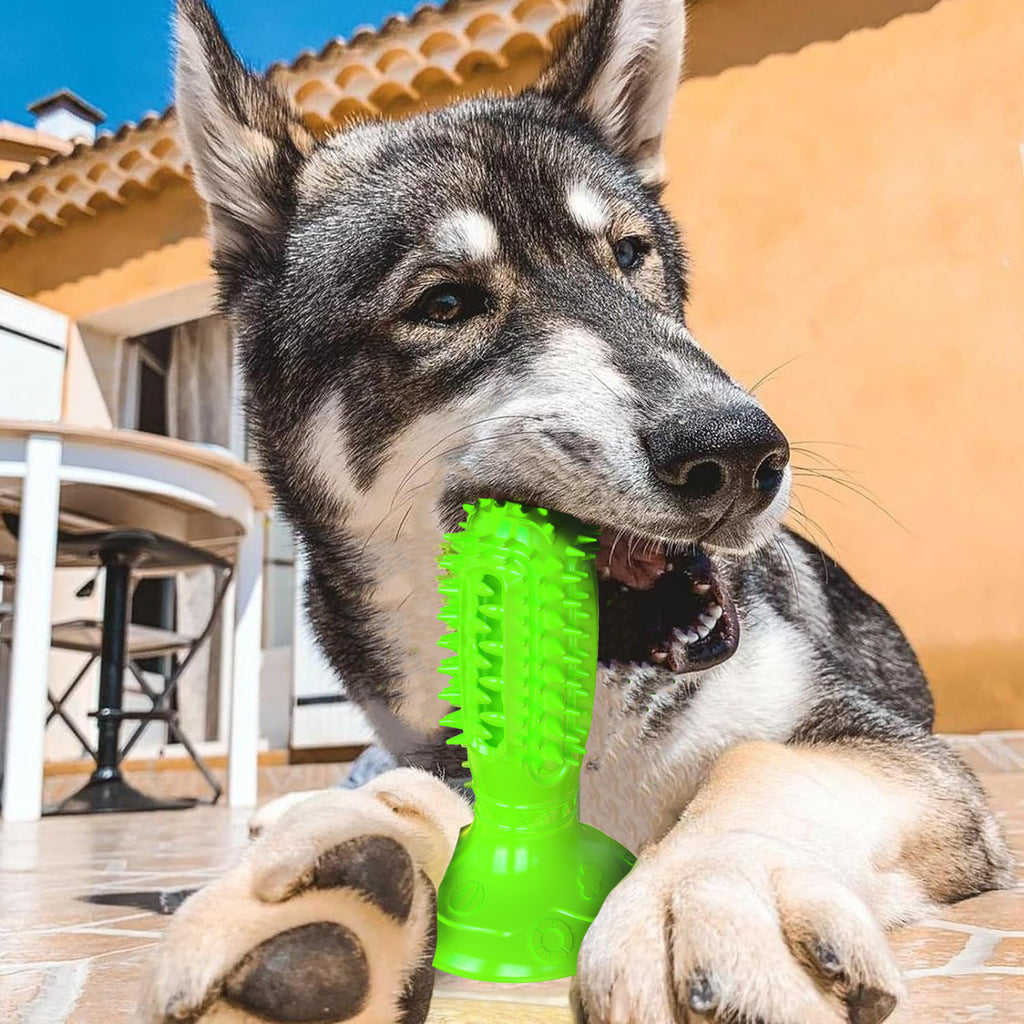 CleanPlay Brush™ | Juguete Interactivo y Cepillo Dental para Perros Kioto.pet